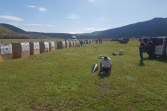 Tarče